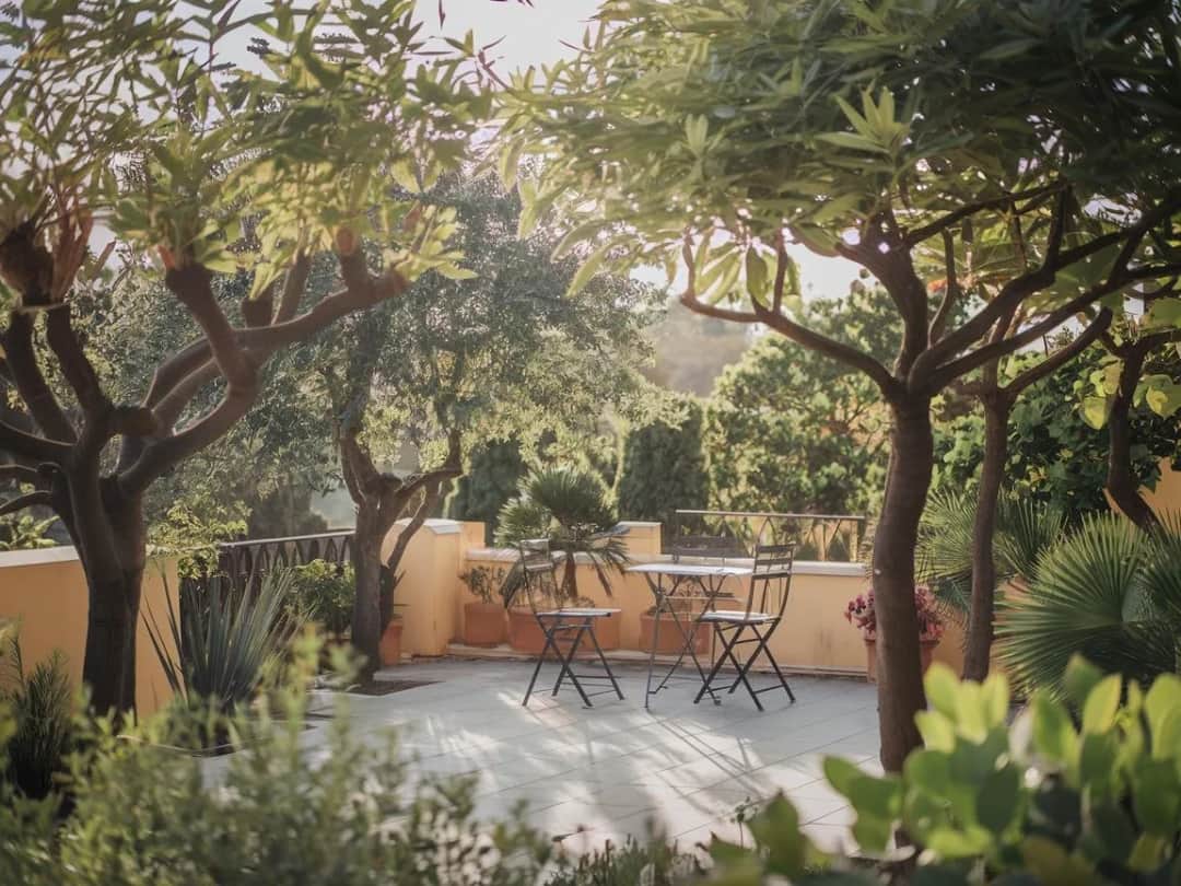 Jakie drzewo posadzić przy tarasie, aby uniknąć problemów z cieniem?