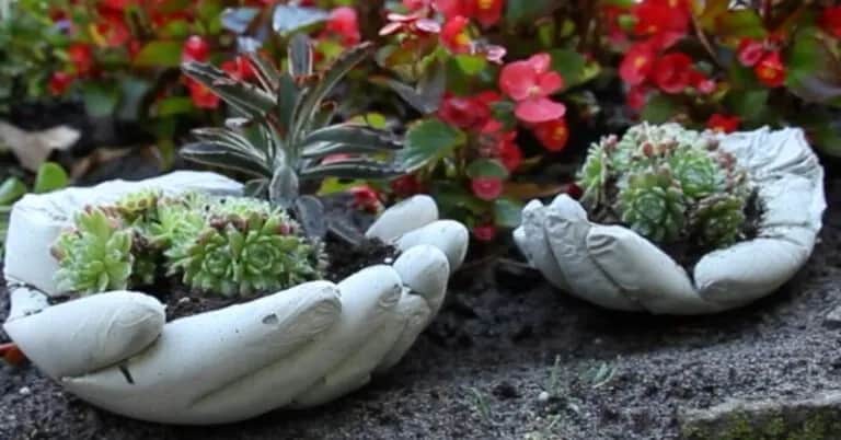 Jak zrobić ozdoby z cementu do ogrodu – proste i efektowne pomysły