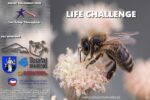 Projekt „life challenge” – Działaj Lokalnie 2021